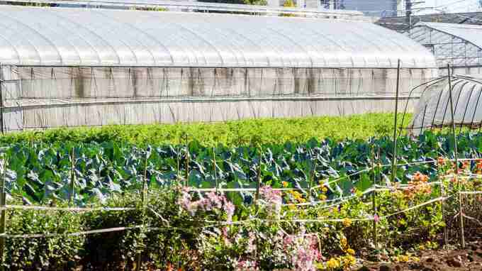 生産緑地「解除か否か」都市農家が苦悩する2022年の分かれ道