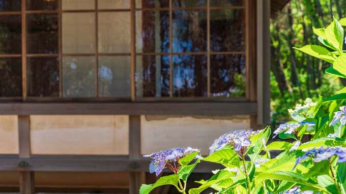 年金月21万円・退職金2,000万円の70歳夫婦が『海辺の平屋』へ移住…半年後、訪ねた娘が見た〈思わぬ変化〉