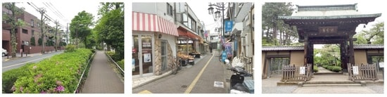 写真左より、緑道が整備され、緑豊かな住宅街が広がる／駅の南北に商店街が伸び、普段の買い物に不便さはない／招き猫で有名な「豪徳寺」は街のシンボル