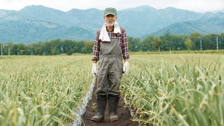 （※写真はイメージです／PIXTA）