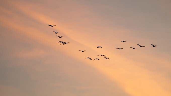 終活のための「ライフプラン」の立て方