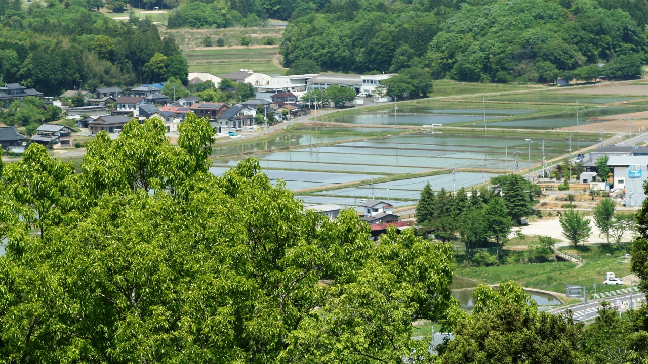 地域の活性化・支援に特化――茨城県笠間市「かぽかカード」
