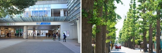 写真左：駅に直結する「成城コルティ」／写真右：街路樹にはイチョウや桜が植えられている