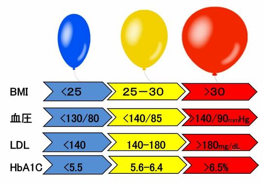 森山記念病院　内科・循環器　野池博文氏 作成