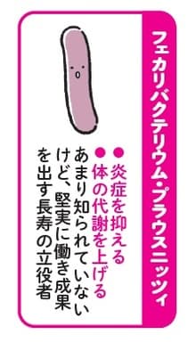 イラスト：佐々木恵子  出所：江田証著『60歳で腸は変わる　長生きのための新しい腸活』（新星出版社）