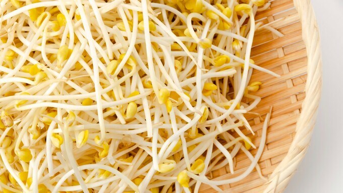 【限界突破！】1ヵ月の「もやし購入金額」2人以上世帯でついに100円台へ…コメ・野菜の高騰で、一般庶民の食費節約行動が明らかに