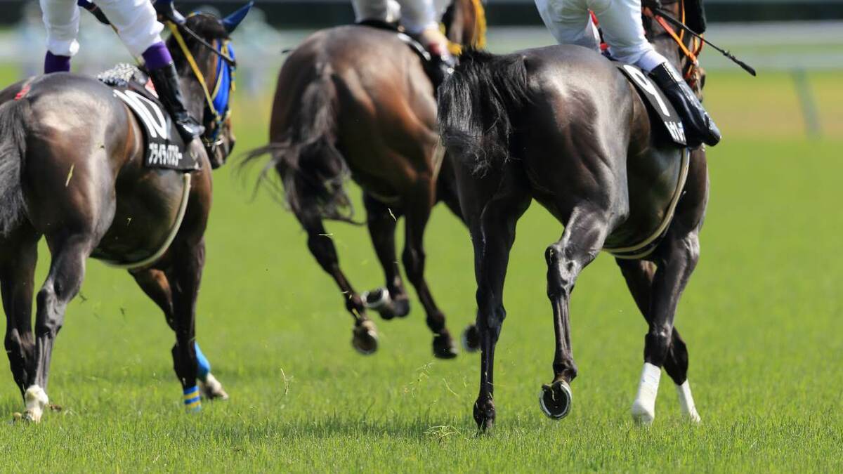 JRA売得金、宝塚記念はイクイノックス人気で増加率+22.9％も…「競馬の