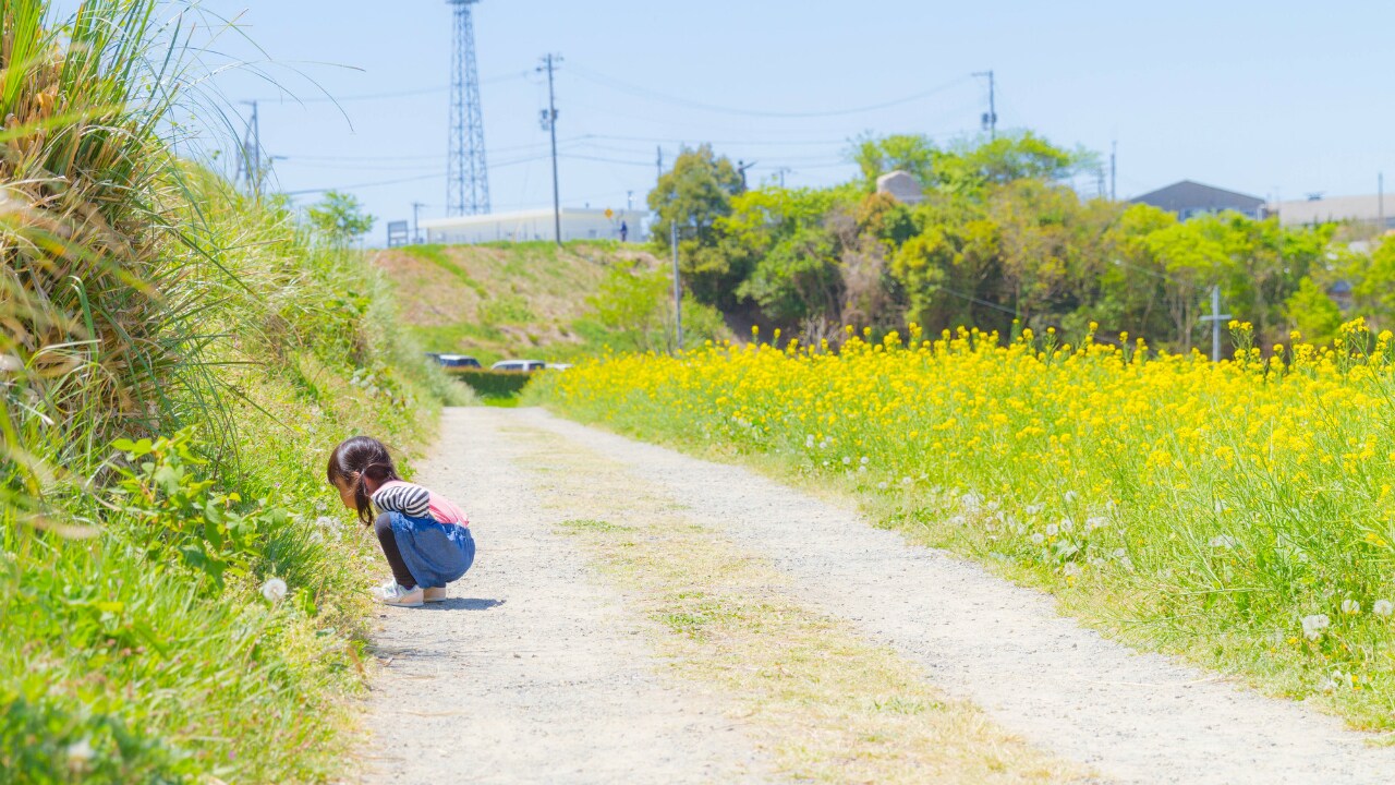 自然を五感で楽しむことで育まれる「自然」の知能とは?