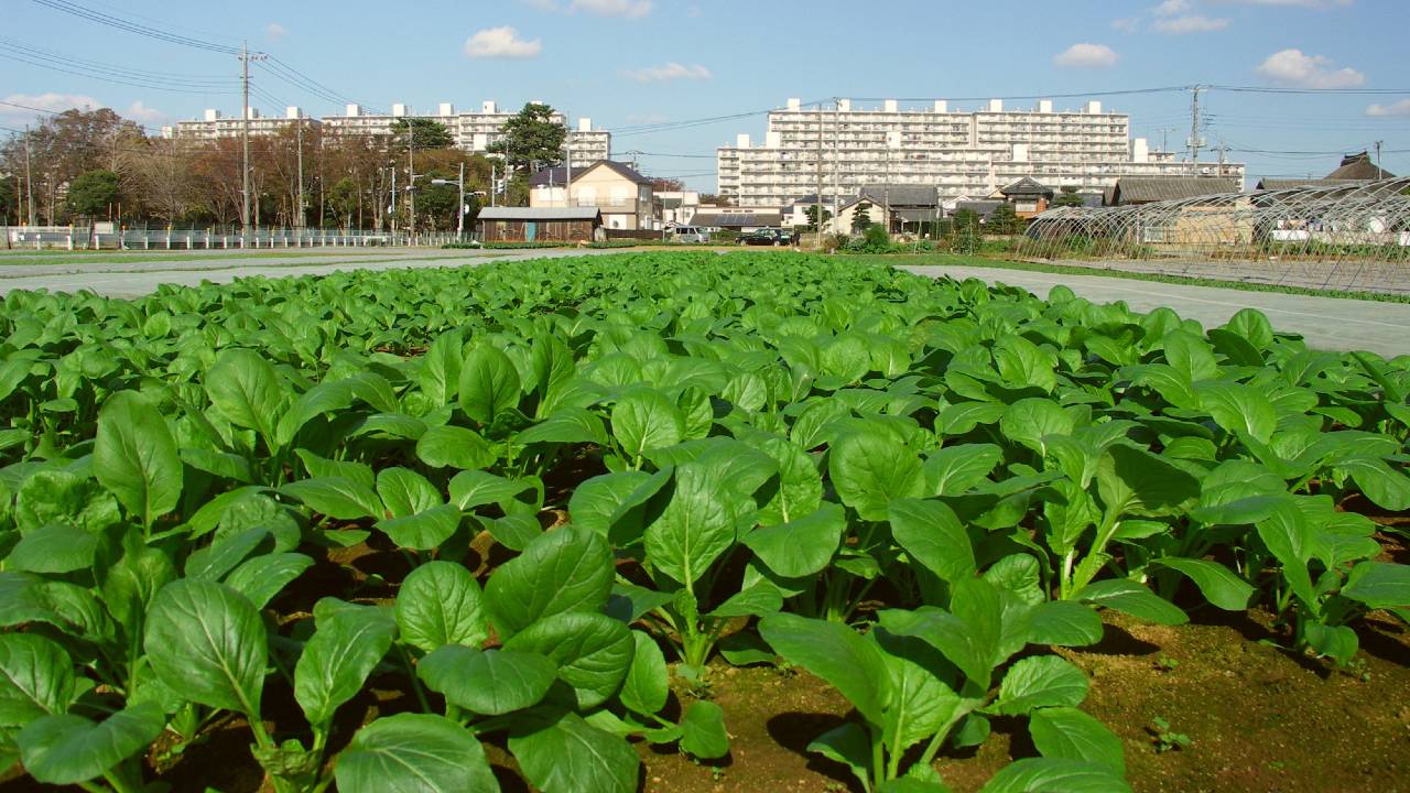 父の預貯金数千万円「相続税イヤ、タンス預金にしよう」の短慮