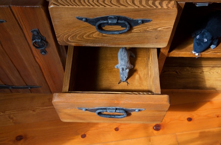 （※写真はイメージです／PIXTA）