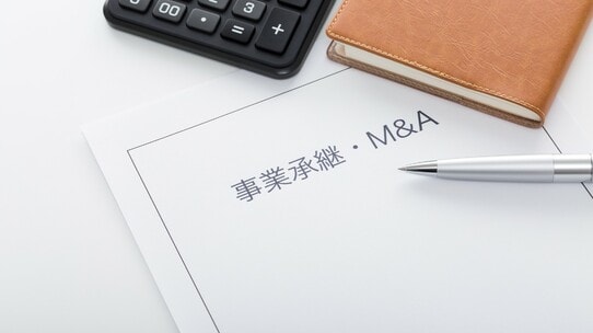 経済産業省「中小M&Aガイドライン」に明記された、経営者注目の〈有利な事業承継実現〉のポイント【公認会計士が解説】