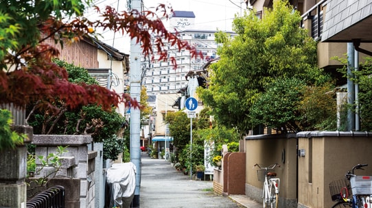 「利用区分」ごとに土地評価をして相続税を減らす方法