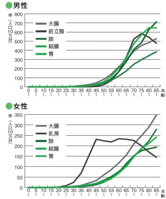 （出所）国立がん研究センターがん対策情報センター　Webサイト「がん情報サービス」より作成