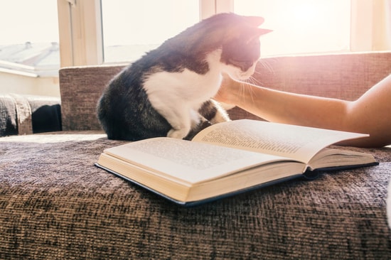 ペットのいる生活は、今や当たり前!?