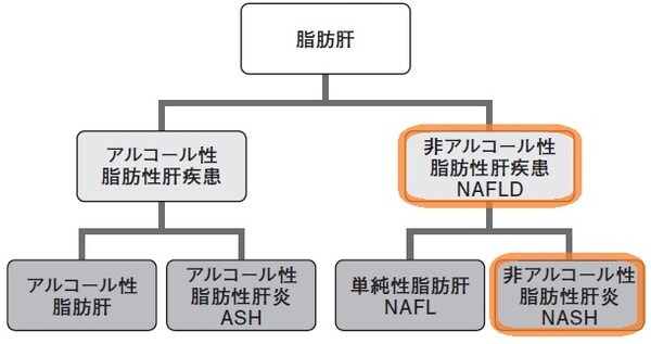 脂肪肝は、「お酒を原因とするもの」「お酒を原因としないもの」に大きく分けられる。近年、お酒を原因としないもの=「非アルコール性脂肪性肝疾患(NAFLD/ナッフルディー)」が確実に増えてきている