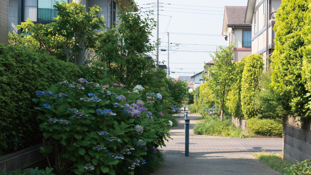 短すぎる「接道の長さ」が土地活用の妨げとなる理由