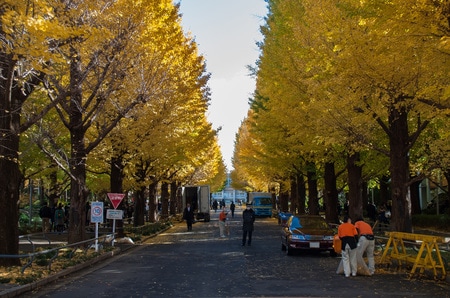 慶應義塾大学日吉キャンパス