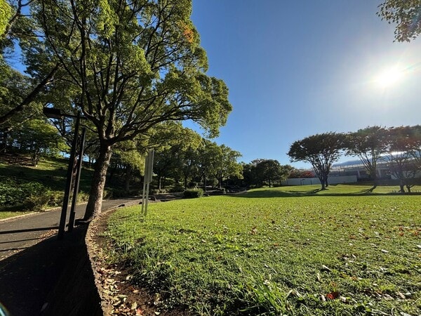 （2025年10月17日　清水ヶ丘公園　現地撮影）