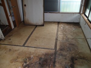 写真① 畳（ビフォー）