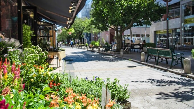 いちいちおしゃれな「自由が丘」憧れの街の意外な住みにくさ