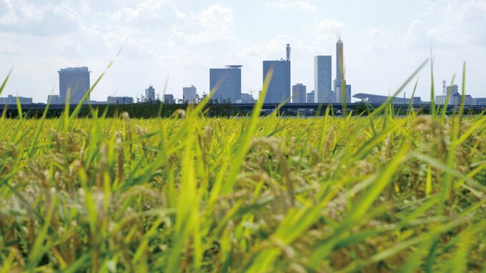 「得する相続」の鉄則③…地主に求められる「経営者」の視点