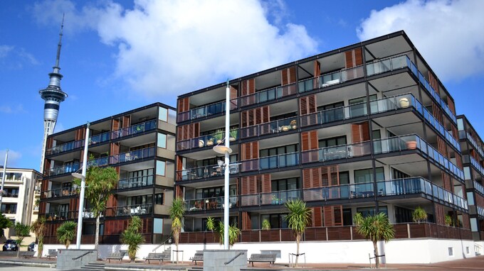 死亡・離婚・破産…NZ不動産市場がコロナ禍で活発化した背景