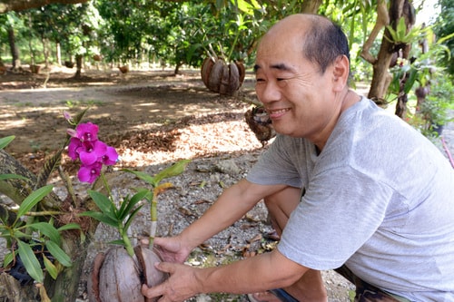 鏡さんはマンゴー農園で蘭の栽培などもしている
