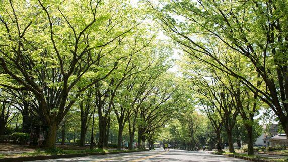 世田谷区「駒沢公園・深沢」周辺で富裕層に人気の「高級老人ホーム」4選