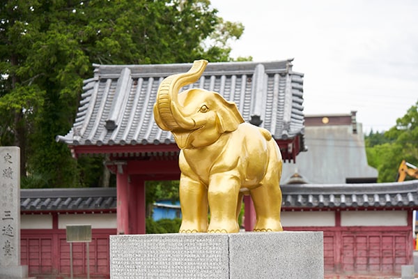 金色に輝く吉ゾウくん（文友舎提供）