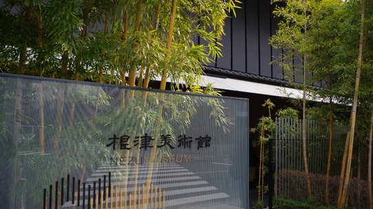 ギャラリストが選ぶ「立地・建物・企画内容」が魅力の美術館