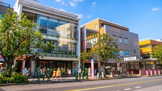 サザエさんの街「世田谷・桜新町」20年後も有望視されるワケ