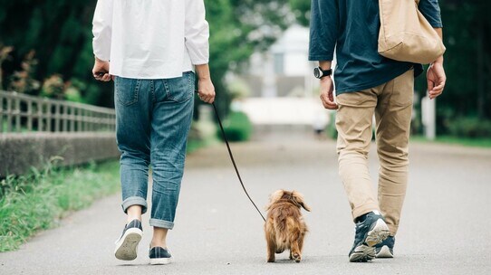 「月額3万6000円払っているのに?」妻が死んでも遺族年金が支払われない40代公務員共働きの落とし穴【FPが解説】