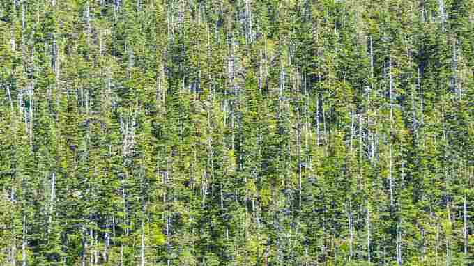 COP26に向けて、日本は課題が山積みか