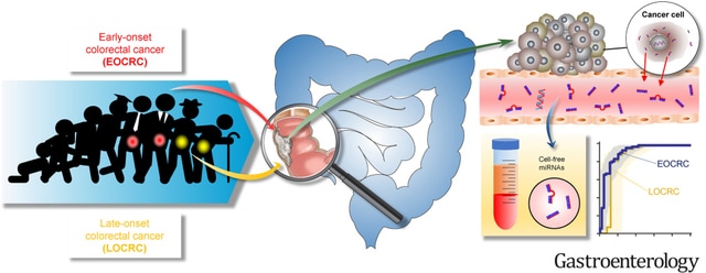 出典：Nakamura K et al. Gastroenterology 163(5):1242-1251.e2