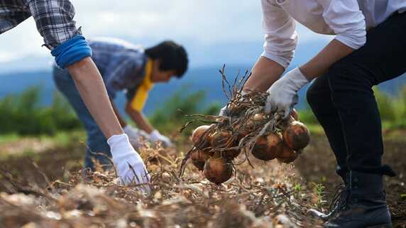 「土に触れて、人生を見つめ直したい」…理想を抱いて移住した夫婦が迎えた“2年後の現実”