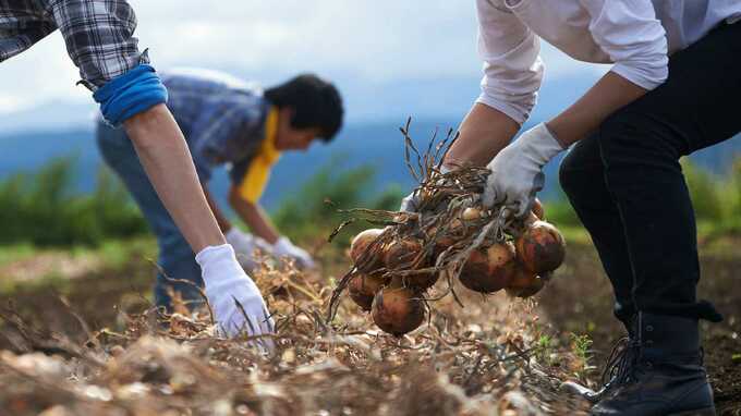 「土に触れて、人生を見つめ直したい」…理想を抱いて移住した夫婦が迎えた“2年後の現実”