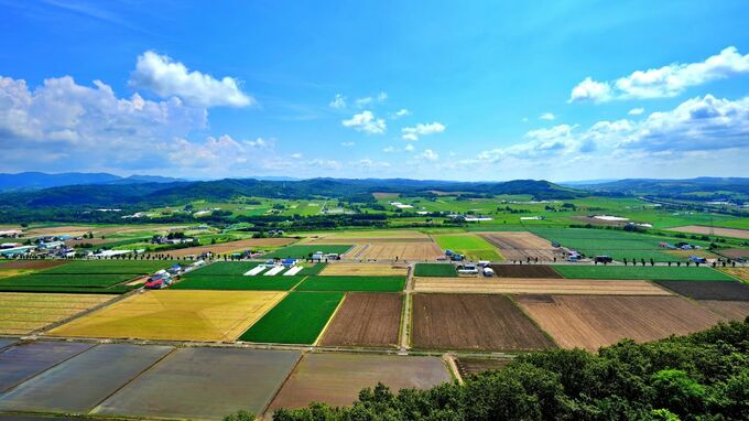 富裕層が密かに「北海道の農地」を買っている理由…お金が紙くずに、貧富の差が覆るかもしれない“史上最悪の日”に備える戦略