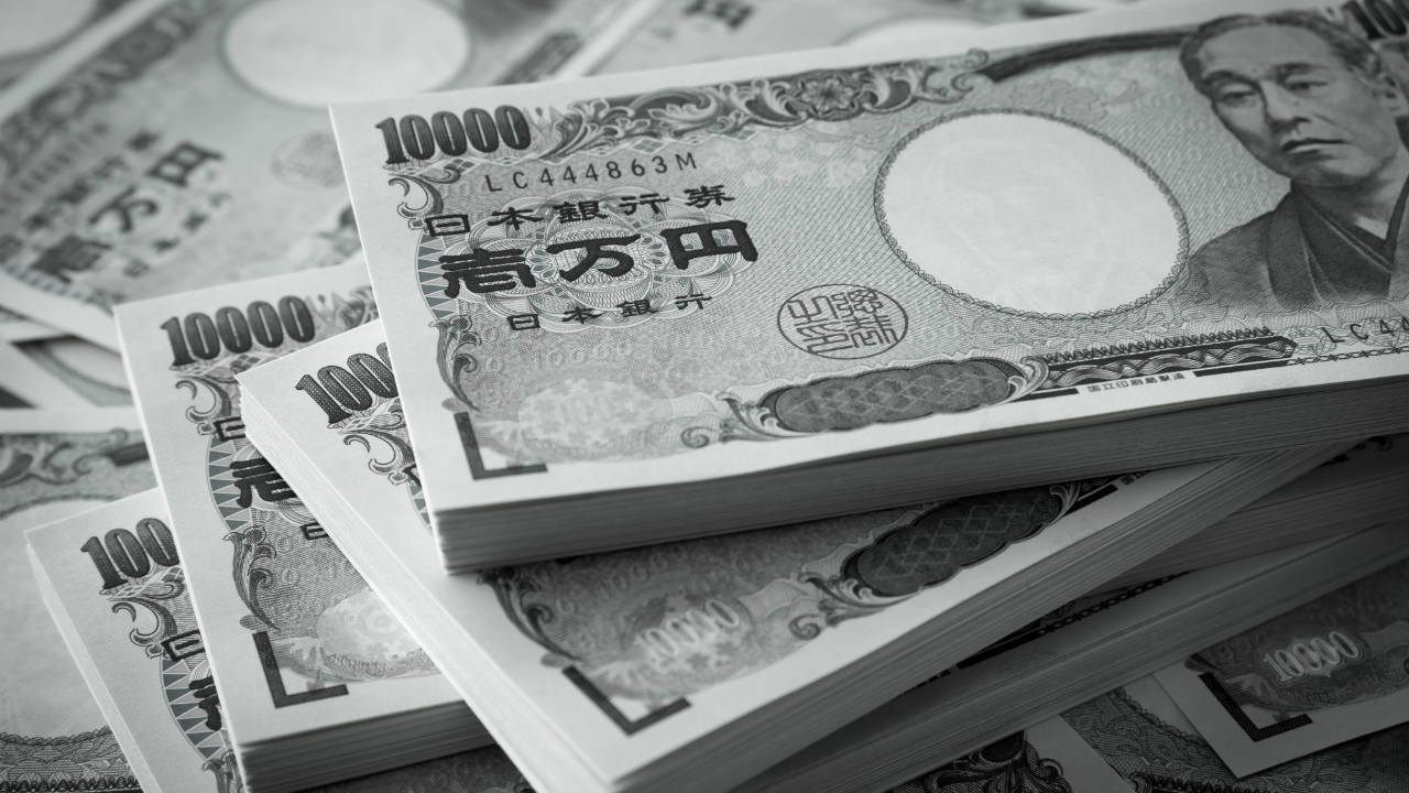 だまされ続ける日本人「政府と金融業界のカモ」を抜け出せない