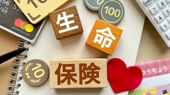 民間の保険も活用することが合理的！お金持ちがリスク対策にお金を使う理由