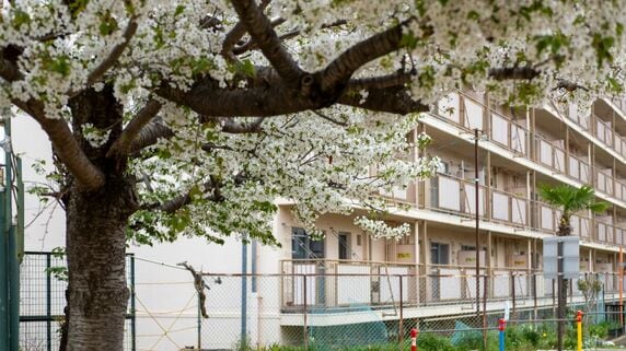 「老後に住むところがなくなっちゃう」…2,300万円の住宅ローンを抱えた74歳夫婦「退職金で返せばいい」はずが、通帳を見て震える日々。〈公営団地〉への転居で手にした〈本当の春〉 