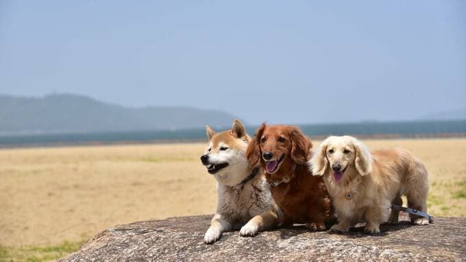 拒絶が怖く、親密な関係が築けない人の「心の傷」を癒す方法